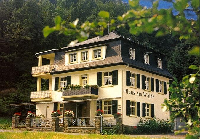 Pension "Haus Am Walde" Brodenbach, Mosel Exteriör bild